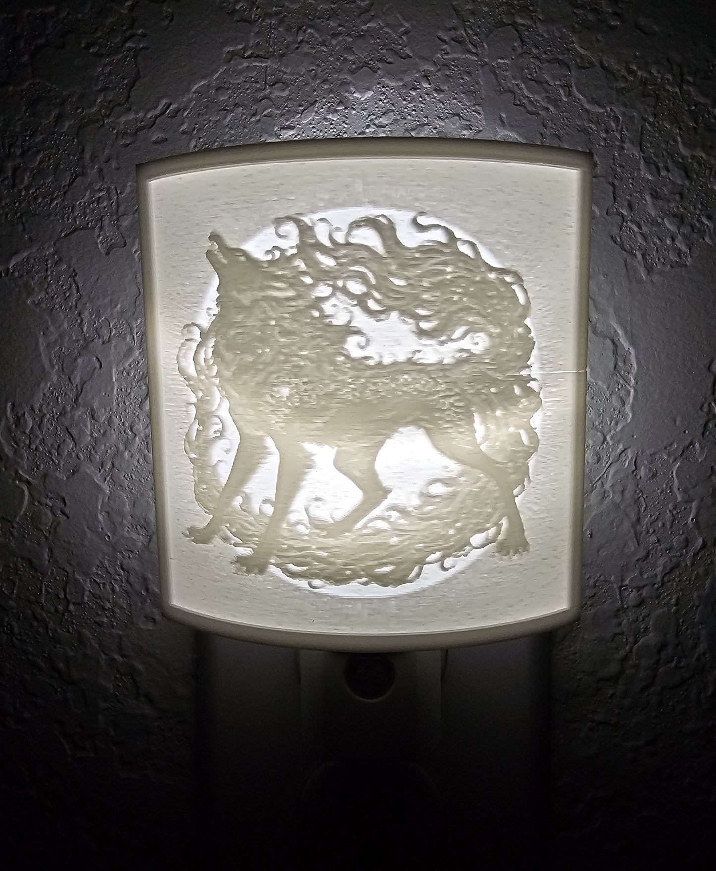 Custom Night Light! | Warm 2700K or Bright 6500K **FREE SHIPPING**