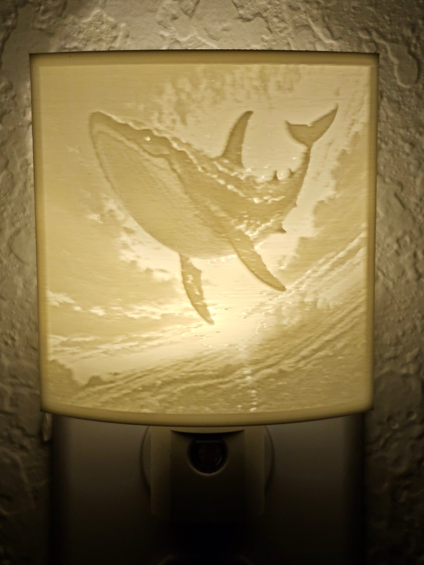 Custom Night Light! | Warm 2700K or Bright 6500K **FREE SHIPPING**