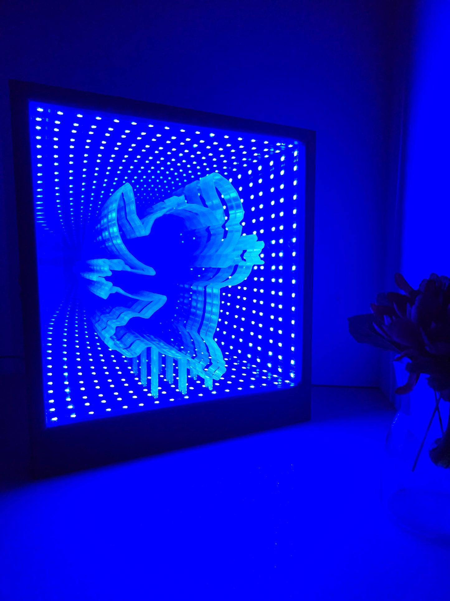 ♾️ Infinity Mirror + Insert ♾️