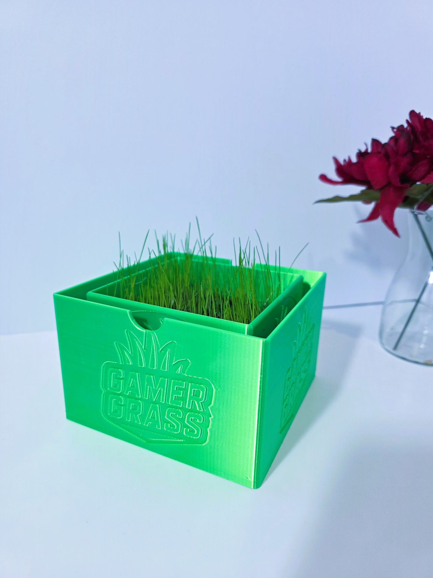 🌱 Gamer Grass 🌱 | Touch Grass Kit