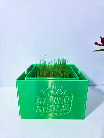 🌱 Gamer Grass 🌱 | Touch Grass Kit